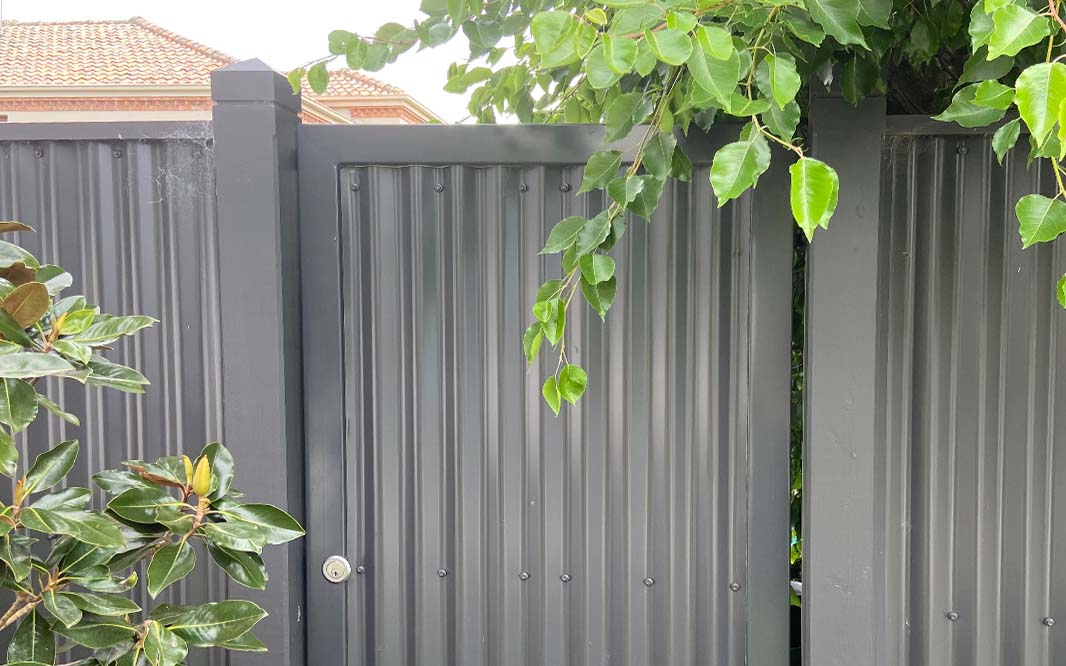 A Colorbond fence gate with a plant in front of it