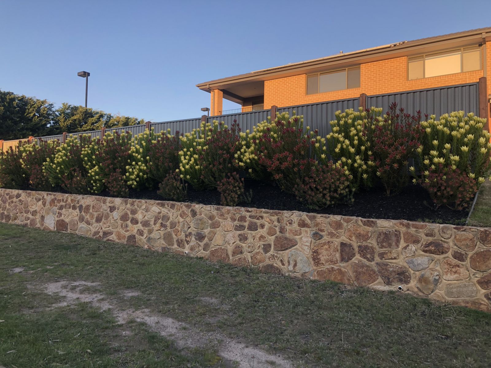 Stone wall with plants and shrubs in front of a house, surrounded by a Colorbond Fence