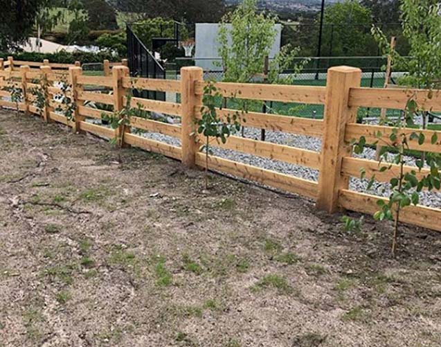 A post and rail wooden fence adorned with trees growing along its length