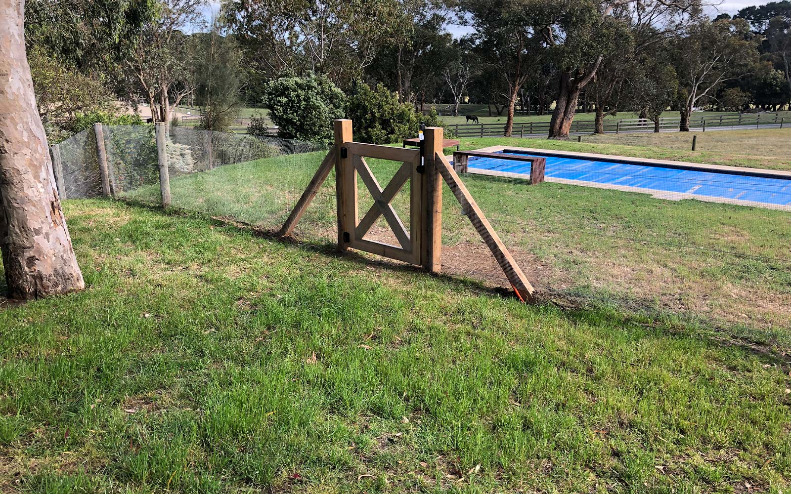 glass and timber pedestrian gate